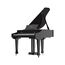 Ringway GDP6320 Polish Black Цифровое рояль