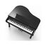 Ringway GDP6320 Polish Black Цифровое рояль