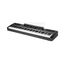 Ringway RP-60 BLK Цифровое пианино