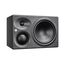 Neumann KH 310 II Left Студийный монитор (левый)