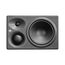 Neumann KH 310 II Left Студийный монитор (левый)