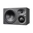 Neumann KH 310 II Right Студийный монитор (правый)