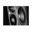 Neumann KH 310 II Right Студийный монитор (правый)