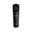 Warm Audio WA-87jr SE Black Студийный микрофон