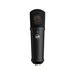 Warm Audio WA-87jr SE Black Студийный микрофон