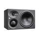 Neumann KH 310 II Left Студийный монитор (левый)